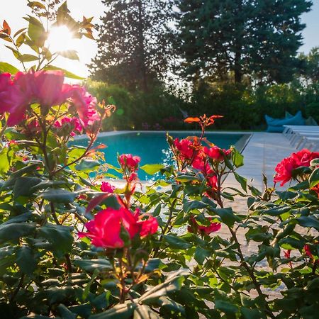 Trullo Amarcord Villa Selva Di Fasano Ngoại thất bức ảnh